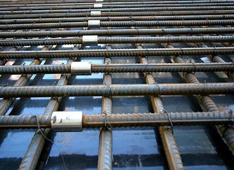 樟树为什么建楼房时，要在钢筋上加一排小圆环？原来作用这么大